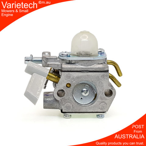 Genuine RUIXING Carburetor Homelite Ryobi