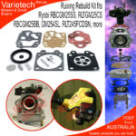 Ryobi RBCGM25 RLTGM25CS GM254SL Rebuild Kit